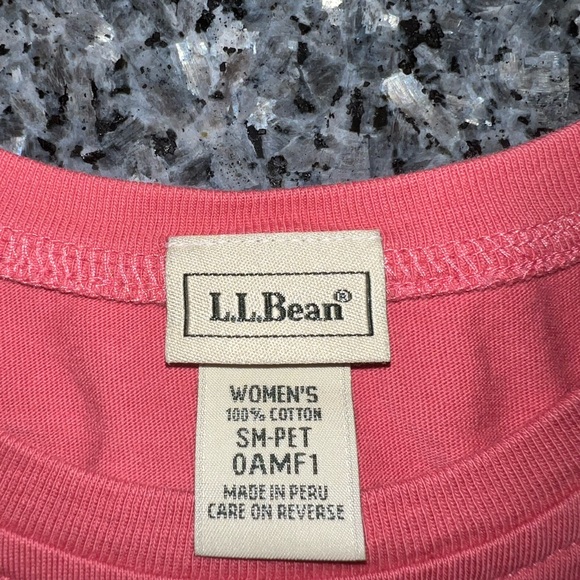 Bundle of Two L.L. Bean Dresses T-shirt style (Blue and Pink) - Picture 6 of 9